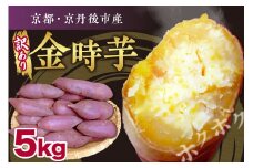【先行予約】京都京丹後産さつまいも 訳あり 土付き 金時芋 5kg（2025年11月中旬～発送）　芋 国産 京丹後産 サツマイモ 薩摩芋 サツマ芋 さつま芋 きんとき 訳あり ふるさと納税 先行予約 ふるさと納税 さつまいも 送料無料　FR00019