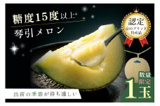 【7/31まで】ギフトにも！京のブランド産品 京たんごメロン 琴引メロン 1玉（2025年6月下旬～発送）マスクメロン 青肉メロン メロン先行予約 メロン1玉　JK00007
