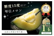 【先行予約／数量限定950】京のブランド産品 京たんごメロン 琴引メロン LAサイズ 1玉（2026年6月下旬～発送）　JK00023