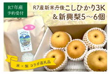 【予約受付】特別栽培米丹後こしひかり3kg＆新興梨5～6個（2025年10月中旬～発送）　KU00055