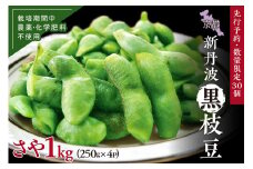 【先行予約／数量限定50】新丹波黒枝豆さや 1kg（250g×4パック）（栽培期間中農薬・化学肥料・除草剤不使用）（2025年10月中旬～発送）　KU00054