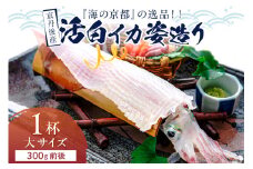 【先行予約】京丹後産『海の京都』の逸品！！　活白イカ姿造り（クリスタル白いか）大サイズ 1杯（300g前後）（2025年6月上旬～発送）　YK00299
