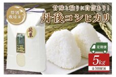 【3ヶ月定期便】令和5年度産　丹後うらら米　丹後コシヒカリ　5kg　米 お米 特別栽培 国産 こしひかり 5キロ 3ヶ月 定期便 定期便 米　AM00623