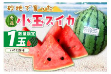 【先行予約／数量限定100】にしまるスイカ 秀品 1玉入り（ハウス栽培）（2025年6月中旬から発送）　FR00008