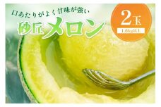 【先行予約／数量限定500】京丹後産 砂丘メロン 大玉2L以上 2玉（2025年7月下旬～発送）　国産 高級メロン めろん 贈答 贈答品 贈り物 ふるさと納税 メロン 青肉 ふるさと納税 先行予約 期間限定 ふるさと 納税 フルーツ くだもの 果物 箱　HF00004