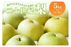 【先行予約／数量限定100】京丹後産 二十世紀梨 大玉 5kg（14～18玉入り）（2025年9月上旬～発送）　国産 ギフト お取り寄せ 5キロ ふるさと納税 梨 なし ふるさと納税 先行予約 期間限定 ふるさと納税 20世紀 送料無料　HF00005