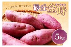 【先行予約／数量限定100】京丹後産 土付き 砂丘金時（さつまいも） 5kg（2024年10月中旬～発送）　芋 国産 京丹後産 サツマイモ 薩摩芋 サツマ芋 さつま芋 きんとき 5キロ ふるさと納税 先行予約 ふるさと納税 さつまいも 焼き芋 焼きいも やきいも　HF00006