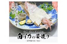 京都　榮元　海工房の京白イカの姿造り　海鮮 魚介類 イカ 白いか 剣先イカ 産地直送 お刺身 特殊冷凍 活きいか 京都 丹後 久美浜 送料無料 ふるさと納税 いかそうめん いか刺身 イカ刺身 いか刺し　EK00001