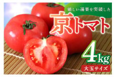 【先行予約】厳選された究極のとまと／京丹後産・京トマト 4kg（12～24玉） 春夏発送（2025年5月中旬～発送）　お野菜 夏野菜 トマト 大玉 4きろ 高糖度 濃厚 甘い 美味しい 完熟 とまと tomato 業務用 大容量 大量　JK00011