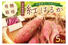 ＜てんとうむしばたけ＞有機さつまいも 5kg （紅はるか）　BR00030