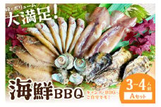 大満足！京丹後・海鮮BBQ　Aセット　5種20品（3～4人前）　魚介類 さざえ 蠑螺 カキ かき いか バーベキュー ばーべきゅー きゃんぷ アウトドア あうとどあ 個包装 冷凍 送料無料　YK00366