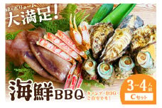 大満足！京丹後・海鮮BBQ　Cセット　贅沢生ズワイガニ付き　4種11品（3～4人前）　魚介類 さざえ カキ かき いか かに カニ ずわい蟹 ズワイ蟹 バーベキュー ばーべきゅー きゃんぷ アウトドア あうとどあ 冷凍 送料無料　YK00368