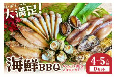 大満足！京丹後・海鮮BBQ　Dセット　贅沢アワビ付　6種22品（4～5人前）　魚介類 さざえ 蠑螺 カキ かき いか かれい あわび 鮑 バーベキュー ばーべきゅー きゃんぷ アウトドア あうとどあ 個包装 冷凍 送料無料　YK00369