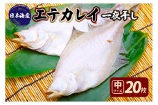 【店主一押し！絶品干物！高リピート！】エテカレイ一夜干し　中サイズ（朝食サイズ）20枚　YK00153