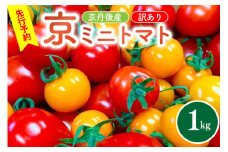 【先行予約】訳あり・新鮮カラフルトマト／京丹後産・京ミニトマト 1kg（2025年5月中旬～発送）　野菜 ミニトマト 1キロ サラダ 色とりどり とまと 京野菜 不揃い ふぞろい わけあり 訳アリ ワケアリ 訳有り 1きろ tomato　JK00013