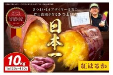 さつまいもオブザイヤー紅はるか部門全国1位 京都・ 丹後産　さつまいも 紅はるか　土付き（1本120〜450g程度）10kg　TF00043
