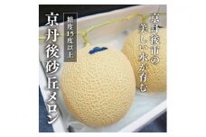 糖度15度以上！京丹後砂丘メロン2玉入り　（2Ｌサイズ以上）／北畿水産(2025年6月下旬～発送)　HK00268