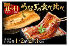 【土用の丑の日までに届く！（7月18～20日配送）】うなぎの食べ比べセット2～3人前【蒲焼き・白焼きそれぞれ1/2尾】全部で1尾　AN00083