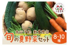 【先行予約／数量限定100】農家直送　旬の夏野菜8～10種セット　 野菜 採れたて 夏 新鮮 旬野菜 夏野菜カレー 野菜 オクラ ゴーヤ ピーマン トマト 栽培期間中 無農薬 有機肥料 土づくり 安全 やさい なつやさい 揚げ浸し 焼き浸し 濃厚　SJ00003