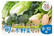 【先行予約／数量限定100】農家直送　旬の冬野菜8～10種セット　 野菜 採れたて 冬 新鮮 旬野菜 鍋  大根 かぶ じゃがいも キャベツ 栽培期間中 無農薬 有機肥料 土づくり 安全 やさい ふゆやさい 濃厚 煮込み おひたし 副菜 冬野菜カレー　SJ00004