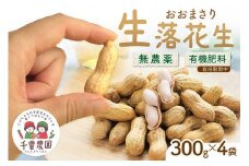 【先行予約/数量限定100】農家直送　生落花生(おおまさり)　300g×4袋　レシピ付き　野菜 新鮮 直送 おつまみ おやつ ピーナッツ 栽培期間中 農薬不使用 有機肥料 生 落花生 希少 大きい 塩ゆで 殻付き バタピー 無塩 ピーナツ 送料無料　SJ00006