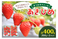 【先行予約／数量限定300】京都・まつみやファームのいちご（あきひめイチゴ）2パック（2026年3月中旬～発送）　DE00137