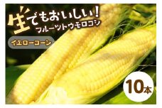 【先行予約】 生食も！高糖度！もぎたて！ フルーツトウモロコシ「イエローコーン」（2025年6月下旬～発送）　DE00126