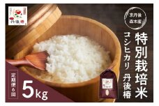 令和7年産 特別栽培米コシヒカリ 丹後椿（京丹後森本産） 5kg【定期便6回】　AG00019