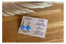 Precious Plastic ピアス　EG00031