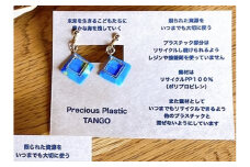 Precious Plastic イヤリング　EG00032
