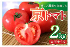 【先行予約】厳選された究極のとまと／京丹後産・京トマト 2kg（8～10玉） 春夏発送（2025年5月中旬～発送）　お野菜 夏野菜 トマト 大玉 2きろ 高糖度 濃厚 甘い 美味しい 完熟 とまと tomato　JK00010