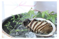 海の京都・黒あわびの煮アワビ／丹後半島で育った黒アワビを使った「丹後の蒸し煮鮑」ーアワビの柔らか煮（煮アワビ）ー 鮑煮・味付けあわび・あわび蒸し煮・あわびギフト・あわび贈答・高級あわび　AN00088
