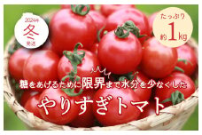 【先行予約】やりすぎトマト（4パック計約1kg）（冬季）（2025年12月上旬以降発送）　DE00133