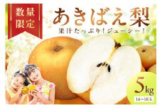 【先行予約／数量限定200】京丹後産 あきばえ梨 5kg（14～18玉）（2025年8月中旬～発送）　DE00118