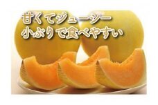 【先行予約／数量限定33】砂地で育ったジューシーなキューピットメロン（3～4玉）（2024年7月中旬～発送）　WR00001