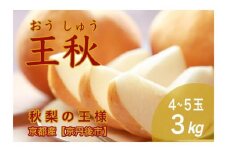 【先行予約／数量限定30】秋の王様 王秋 3kg（4～5玉）（2024年11月上旬～発送）　WR00002
