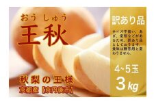 【先行予約／数量限定30】【訳あり】秋の王様 王秋 3kg（4～5玉）（2024年11月上旬～発送）　WR00003