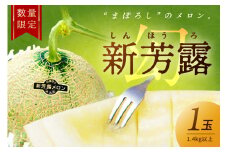 【先行予約／数量限定15】新芳露メロン1玉(2026年7月中旬～発送)　FK00012