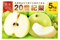 【先行予約／数量限定100】京都京丹後産 廿世紀梨　5kg（2025年9月上旬～発送）20世紀梨 二十世紀梨 梨 5kg　FK00007