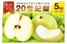 【先行予約／数量限定100】廿世紀梨　5kg（2026年9月上旬～発送）20世紀梨 二十世紀梨 梨 5kg　FK00014