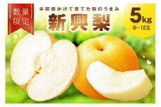 【先行予約／数量限定100】新興梨　5kg（2025年10月中旬～発送）　FK00011