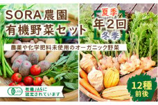 【有機JAS認証】SORA農園有機野菜セット年2回（夏季・冬季）お届け　オーガニック野菜・有機野菜定期便　SN00003