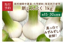 【先行予約／数量限定60】新にんにく1kg（15玉～30玉前後） にんにくコンフィレシピ付き（栽培期間中農薬・化学肥料・除草剤不使用）（2025年6月上旬～発送）　KU00043