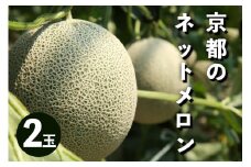 【先行予約／数量限定50】アールスメロン（ネットメロン） 2玉（2026年7月上旬～発送）　NG00014