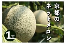 【先行予約／数量限定100】アールスメロン（ネットメロン） 1玉（2026年7月上旬～発送）　NG00015