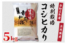 令和6年産　京都丹後産　特別栽培米コシヒカリ5kg（5kg×1袋）　ST00049