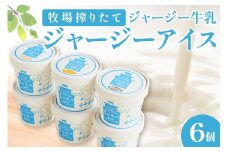 丹後ジャージー牧場直送！搾りたてジャージー牛乳から作る濃厚ミルクのジャージーアイス6個セット ミルク工房そら SORA そら　TJ00002