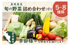 京丹後産・旬の野菜 5～8種詰め合わせ（小）　TO00082