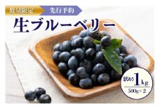 【先行予約／数量限定20】【訳あり】無選別 生ブルーベリー500g×2（2024年7月上旬～発送）　生 ぶるーべりー フルーツ 果物 アントシアニン 完熟 期間限定 国産 わけあり ワケアリ 訳有り 訳アリ 生産者応援 農家応援 送料無料　FG00004