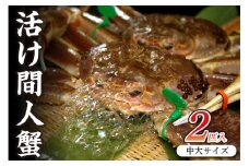 京丹後市産 活け間人蟹 【厳選】 中大サイズ　taizakani800　２匹　SS00112